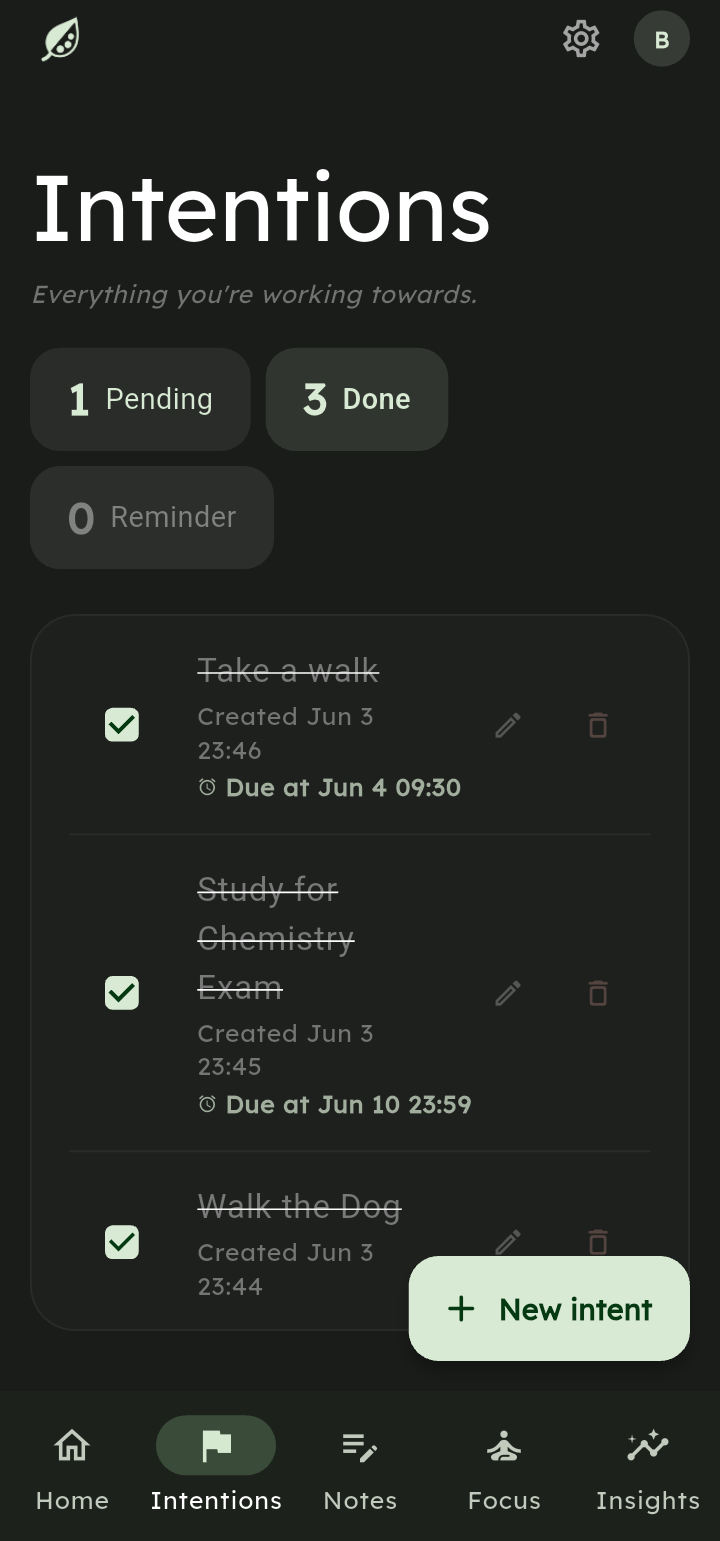 Intent Mobile Interface